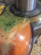 All the "pulp" and solids leftover from juicing